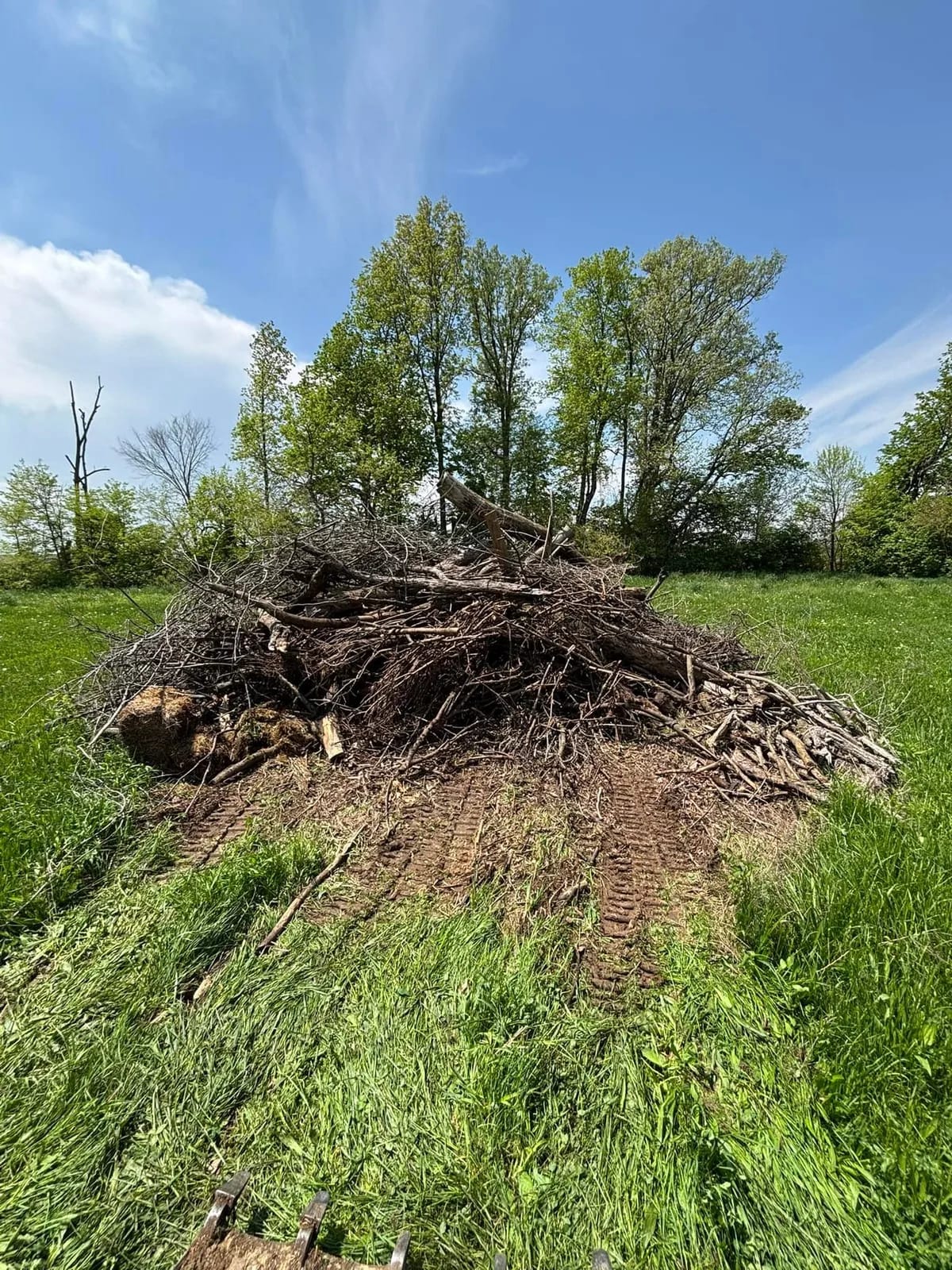 Brush pile stacked after clearing a field edge
