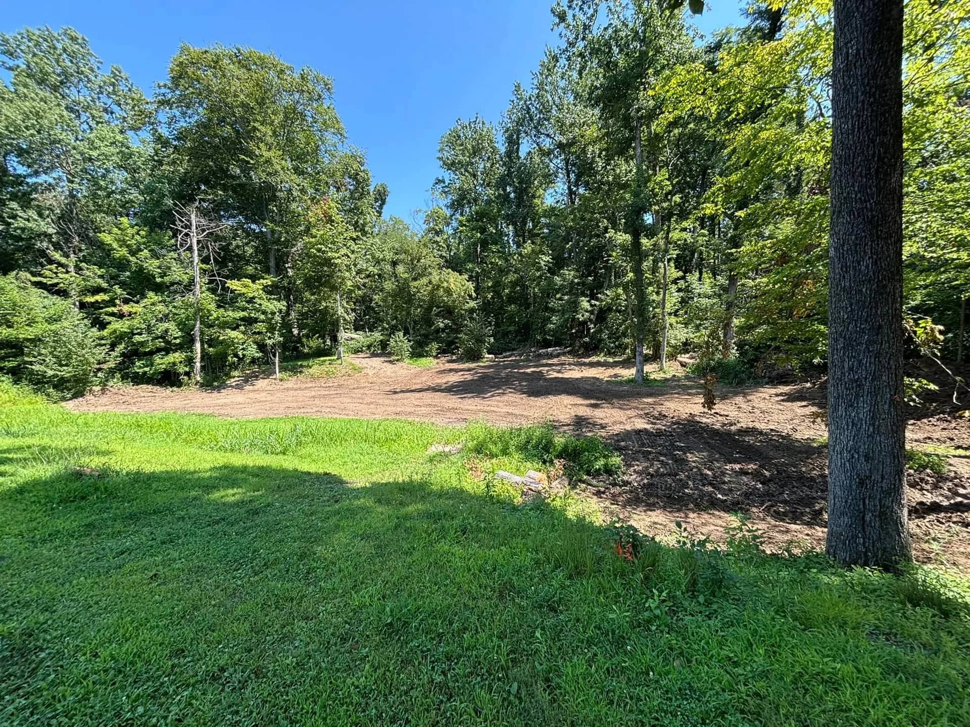 Cleared and opened ground along a wooded tree line