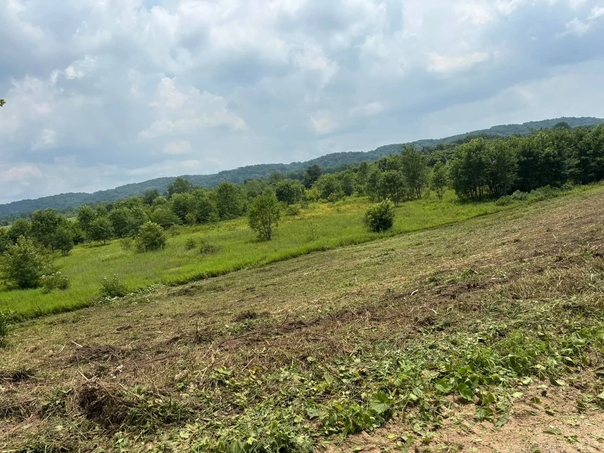 Cleared hillside pasture with the brush pushed off