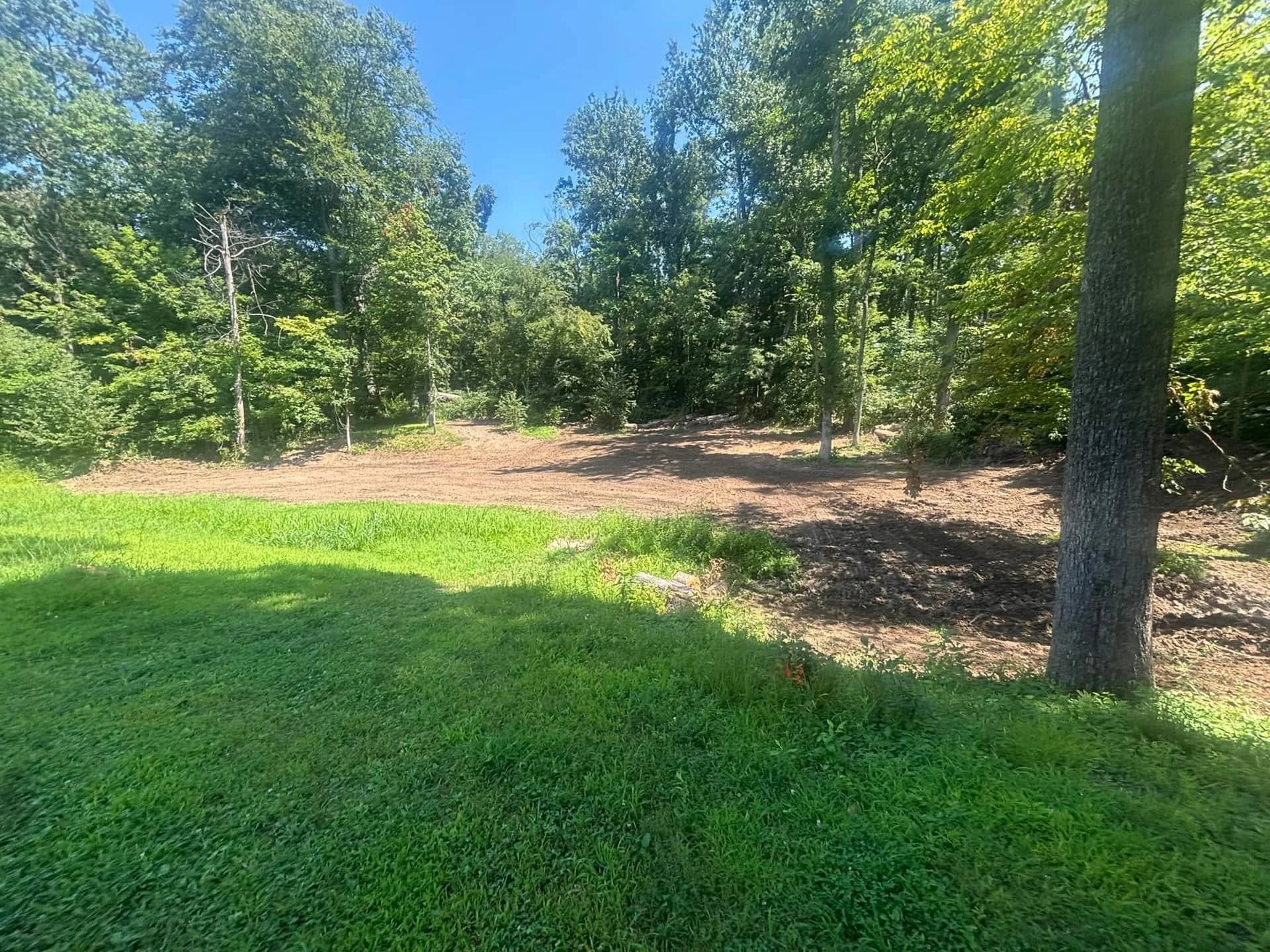 Cleared strip along a tree line beside a hay field
