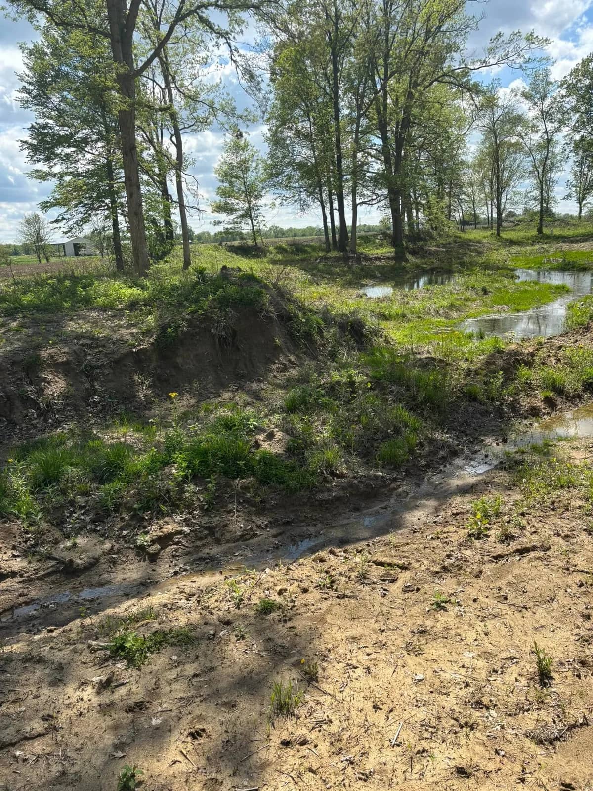 Dredged channel with fresh spoil along the bank