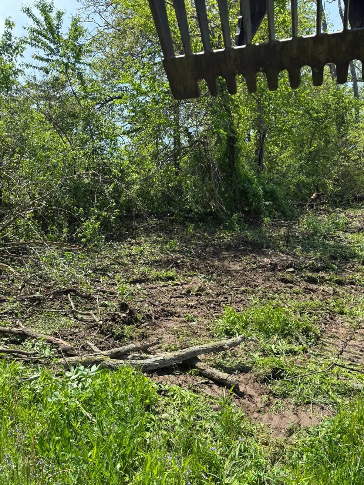 Excavator thumb bucket reaching over brush at a clearing job